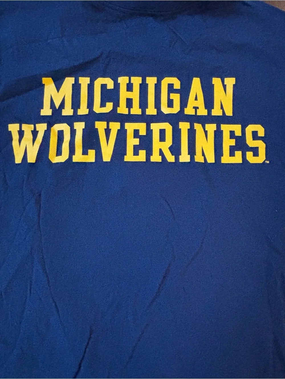 Nike Air Jordan U of M Michigan Wolverines HAIL  T Football Adult Medium NWT